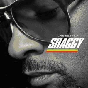 The Best Of Shaggy