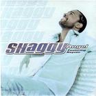 Shaggy - Angel (CDS)
