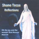 Shane Tecza - Reflections