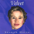 Sharon Hayes - Velvet
