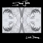 Shawn Jones - Little Dreams