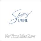 Shelley Laine - No Time Like Now