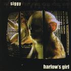 Siggy - Harlow's Girl