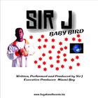 Sir J - Baby Bird