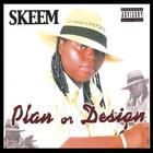SKEEM - Plan or Design