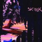 Skink - Skink