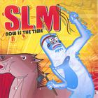 SLM - Now is the Time