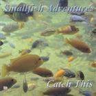 Smallfish - Catch This
