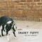 Snarky Puppy - the only constant