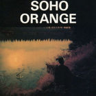 Soho Orange