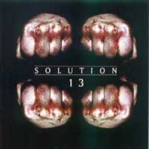 Solution 13