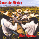 Sones de Mexico Ensemble - ¡Que Florezca! (Let it Bloom)