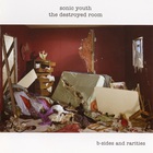 Sonic Youth - The Destroyed Room: B-Sides and Rarities