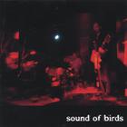 sound of birds - Emerald EP