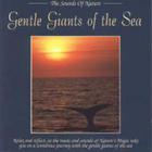 Gentle Giants Of The Sea