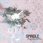 Spindle - Long Road Home