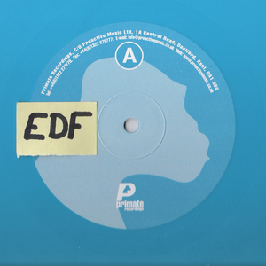 A Taste of Past EP Vinyl