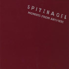 SPITZNAGEL - Moments From Anywhere