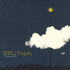 Sputnik - I, Cosmonaut