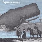 Squarewave - Dullhead