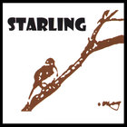 Starling - starling