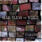 Starlings - Marveling the While