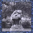 Stellan Wahlstrom Drift Band - The Excitable Gift