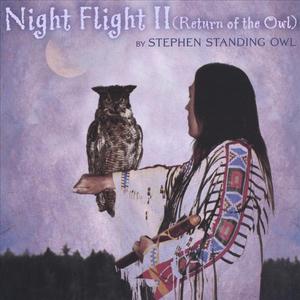 Night Flight ll (Return of the Owl)