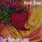 Steve Booke - The Gift of Light