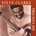 Steve Clarke - Precious Joy