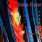 Steve Fister - Unspoken Vol 2