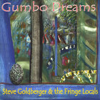 Steve Goldberger & the Fringe Locals - Gumbo Dreams