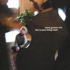 Steve Greene Trio - Live in Your Living Room