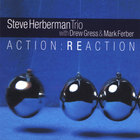 Steve Herberman - Action:Reaction