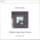 Steve Layton - Different Light, Same Window