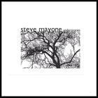 Steve Mayone - Understories