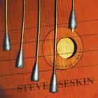 Steve Seskin - Something Real