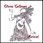 Steve Sullivan - Reveal