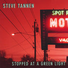 Steve Tannen - Stopped at a Green Light