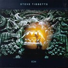 Steve Tibbetts - Fall Of Us All