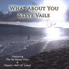 Steve Vaile - What About You (vocal single)