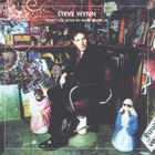 Steve Wynn - What I Did After My Band Broke Up/Visitation Rights (2CD)