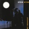 Steve Wynn - My Midnight