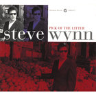 Steve Wynn - Pick Of The Litter