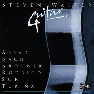 Steven Walter, Guitar