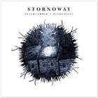 Stornoway - Beachcombers Windowsill