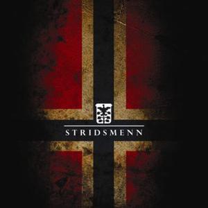Stridsmenn