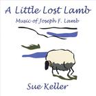 A Little Lost Lamb