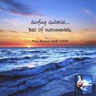 Surfing Guitarist - Best of Instrumentals