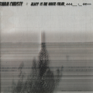 Black Is The White Color